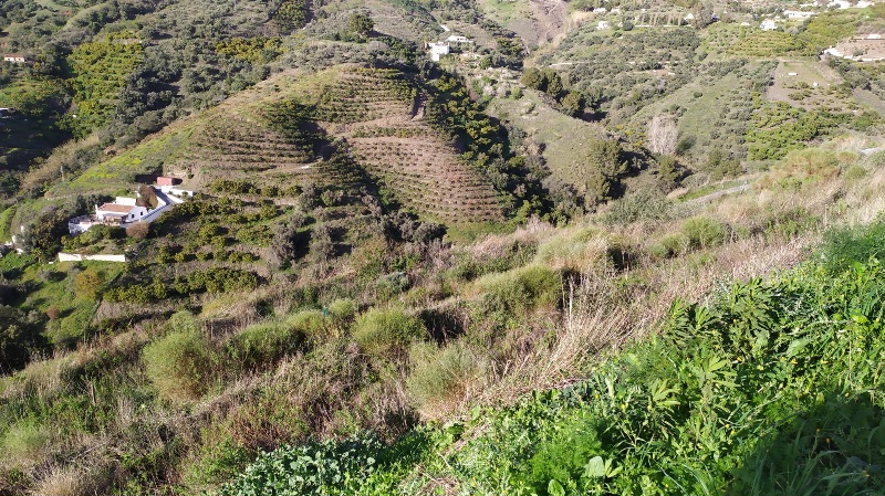IMG-20260306-WA0024