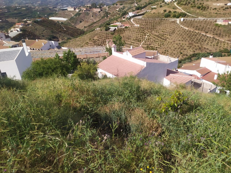 IMG-20260519-WA0020