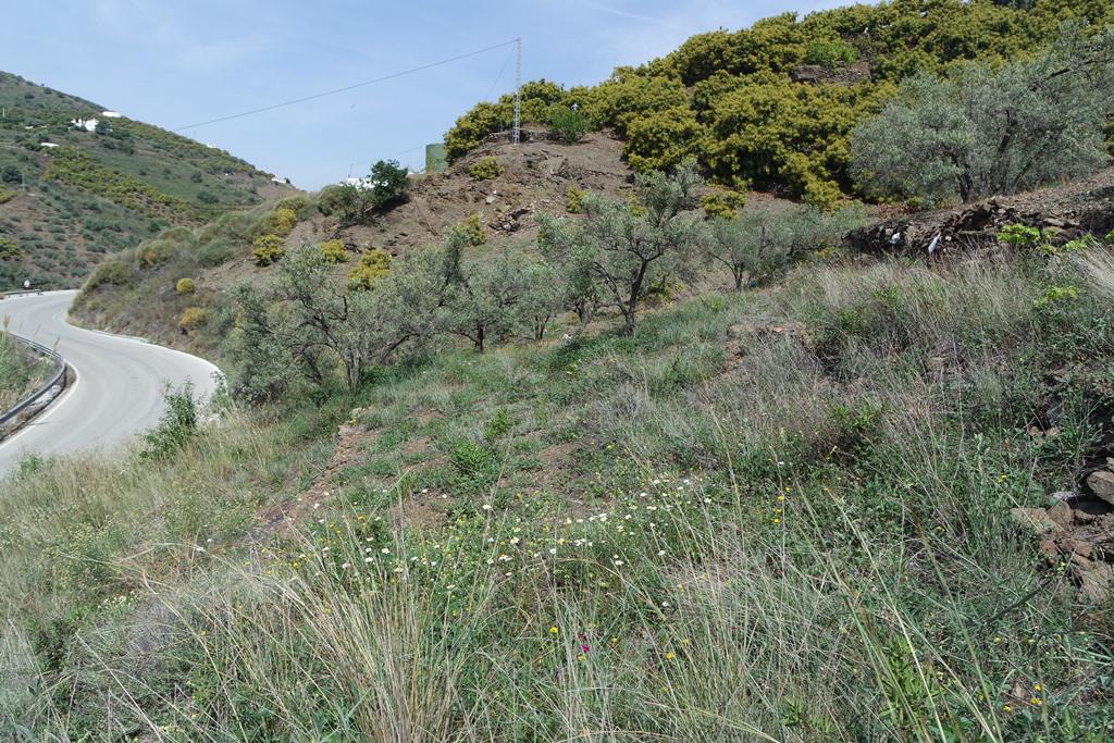 IMG-20210420-WA0043
