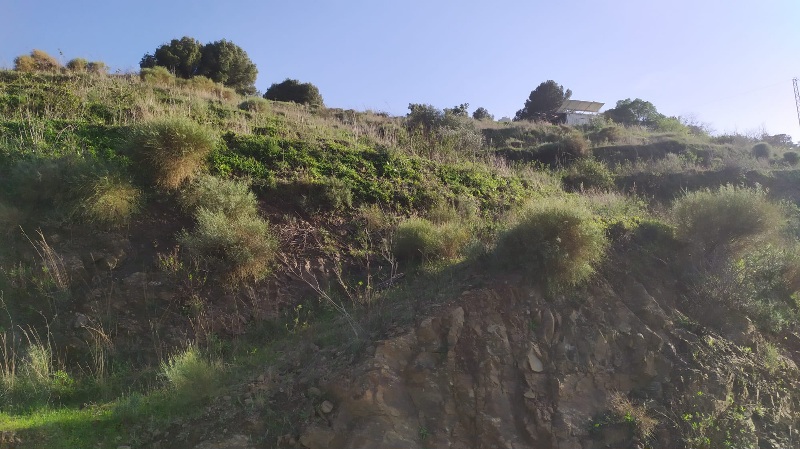 IMG-20260306-WA0034
