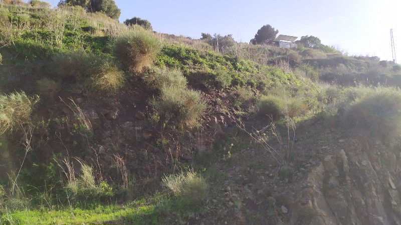 IMG-20260306-WA0035