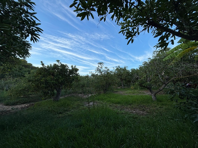 IMG-20260924-WA0043
