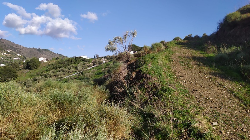 IMG-20260306-WA0036