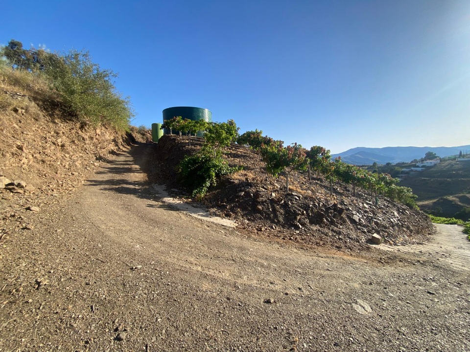 IMG-20260709-WA0069