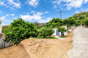 DSCF8390-EditarR