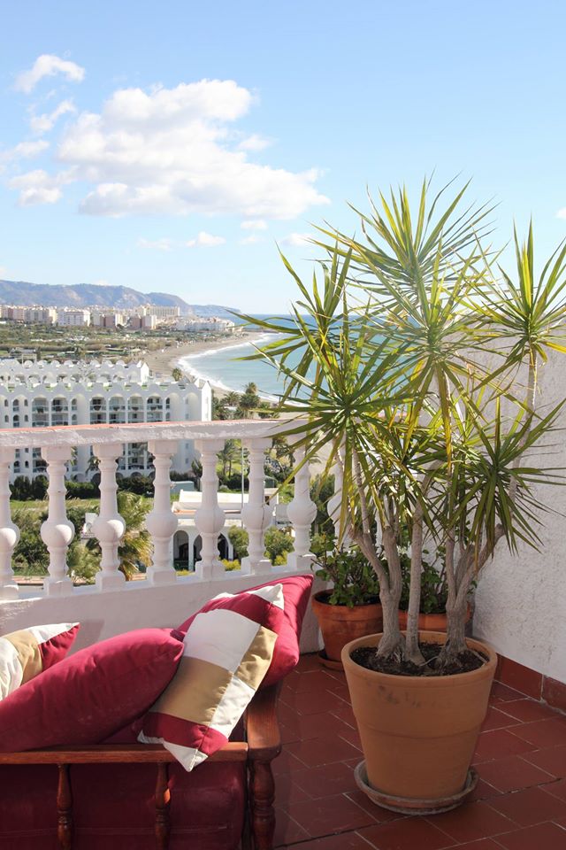 terrace-plant-view-sea