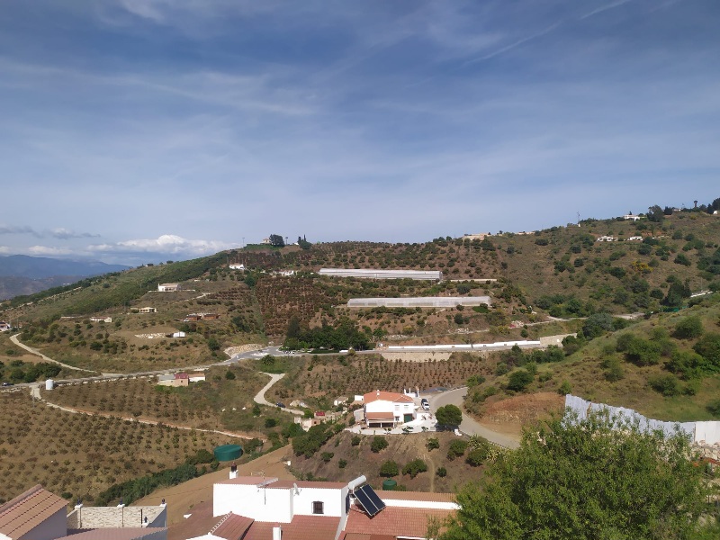 IMG-20260519-WA0022
