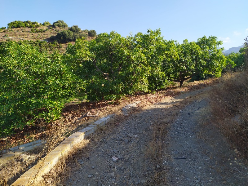IMG-20260703-WA0008