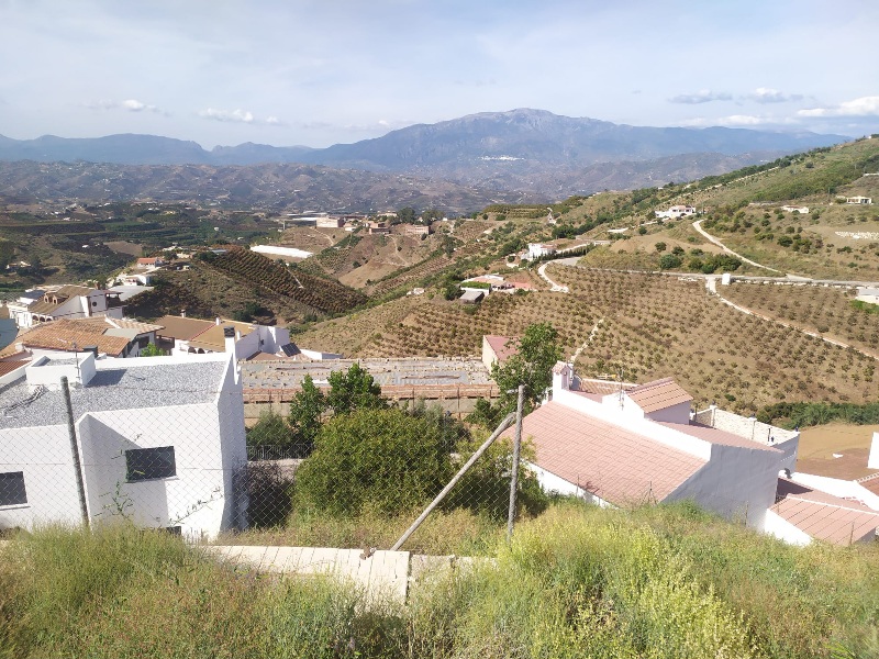 IMG-20260519-WA0024