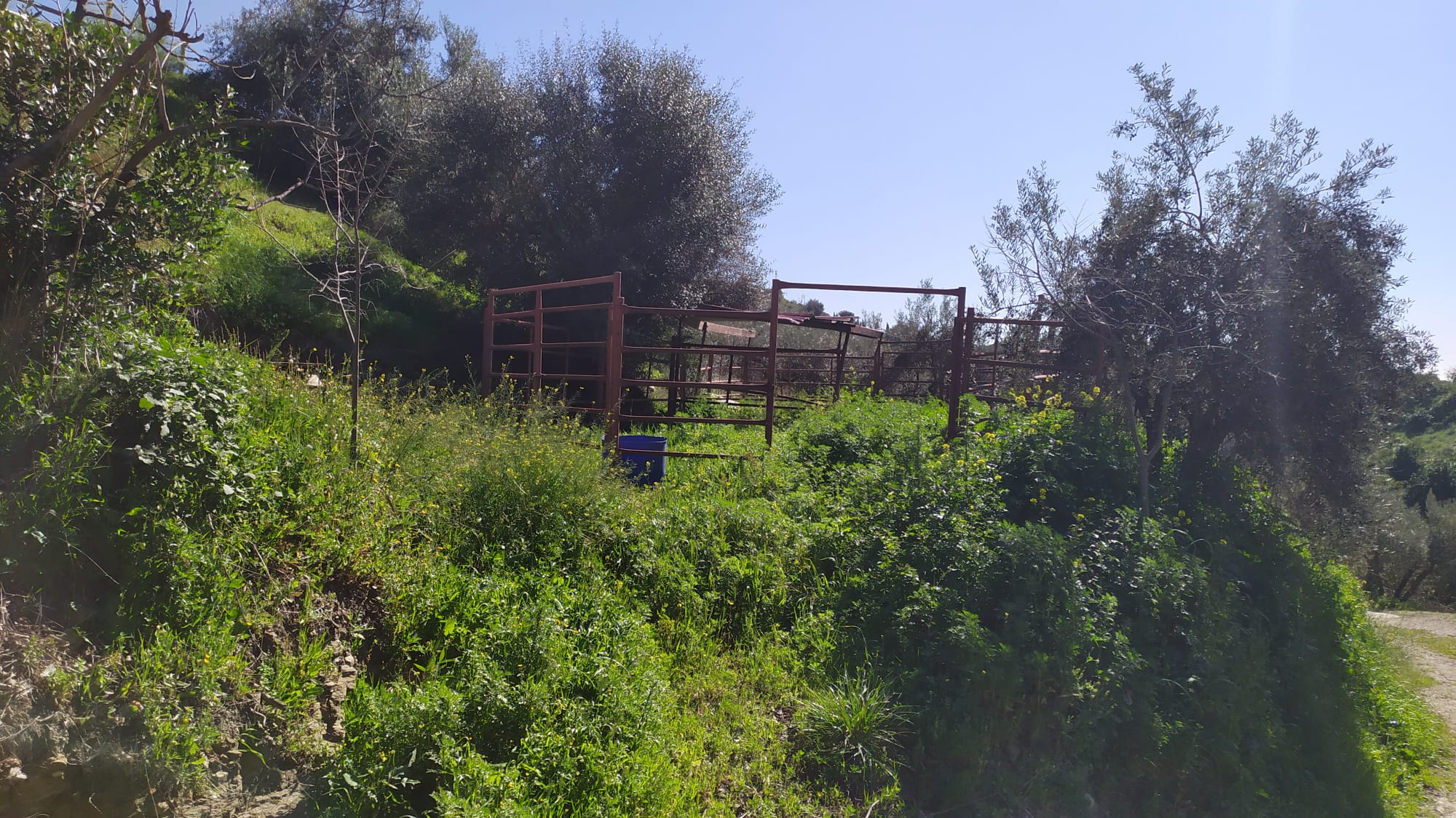 IMG-20260221-WA0048