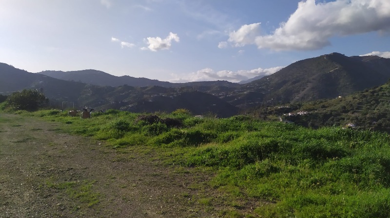 IMG-20260306-WA0029