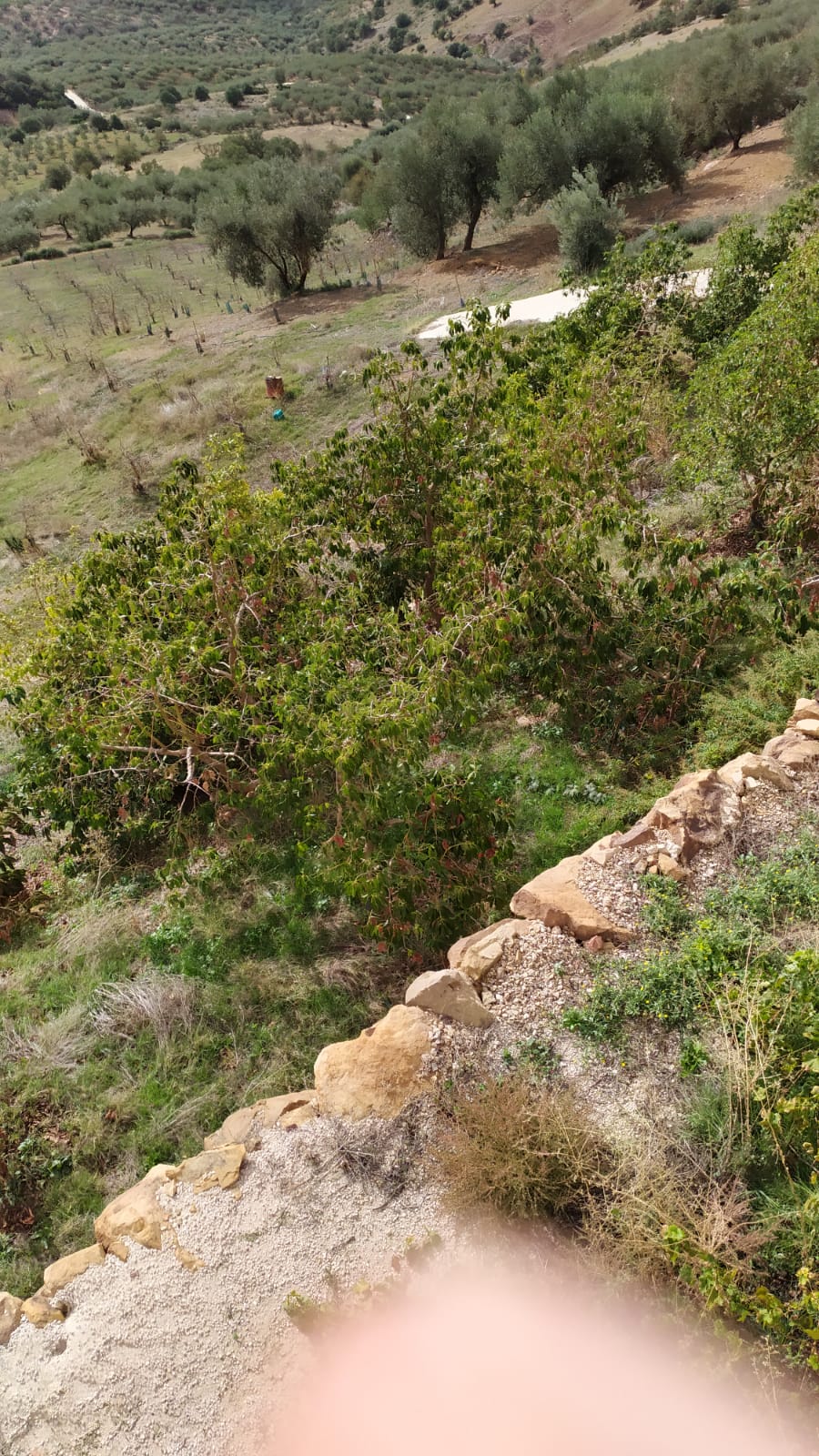 1699265333798