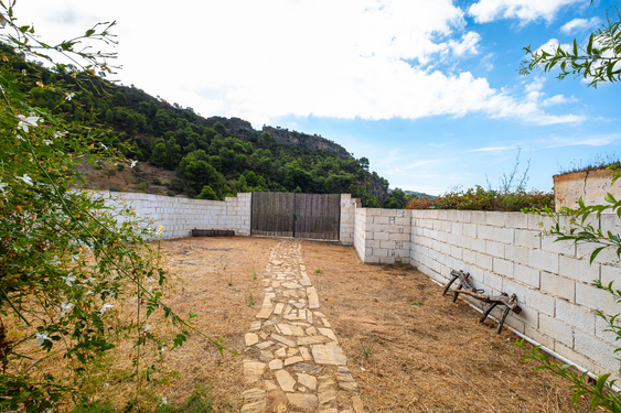 DSCF8377-Editar