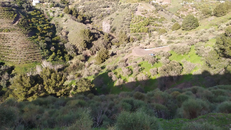 IMG-20260306-WA0032