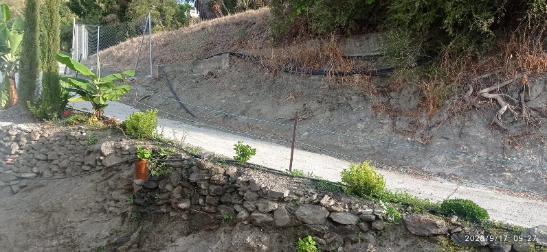 IMG-20261026-WA0098