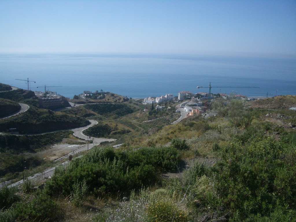 IMGP1585