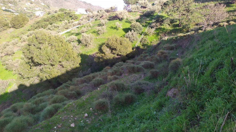 IMG-20260306-WA0033