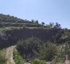 IMG-20260221-WA0041