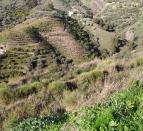 IMG-20260306-WA0024
