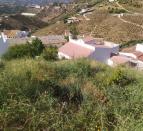 IMG-20260519-WA0020