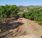 IMG-20260703-WA0005