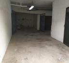 IMG-20260810-WA0035