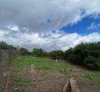 IMG-20260209-WA0036