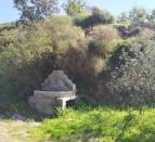 IMG-20260221-WA0044