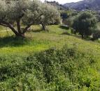 IMG-20260305-WA0037