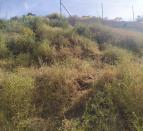 IMG-20260519-WA0021