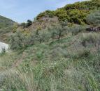 IMG-20210420-WA0043