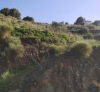 IMG-20260306-WA0034