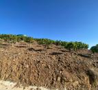 IMG-20260709-WA0062