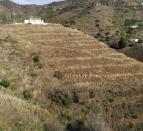 IMG-20261022-WA0033