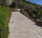 IMG-20260221-WA0054