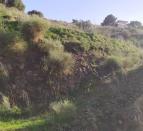 IMG-20260306-WA0035