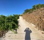 IMG-20260709-WA0063