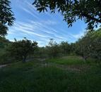 IMG-20260924-WA0043