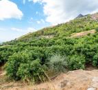 DSCF8386-Editar