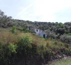 IMG-20210420-WA0045