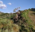 IMG-20260306-WA0036