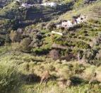 IMG-20260306-WA0037