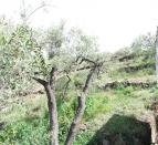 IMG-20210420-WA0047