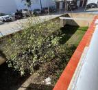 IMG-20251118-WA0070