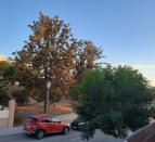 IMG-20251027-WA0034