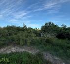 IMG-20260924-WA0049