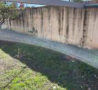 IMG-20251118-WA0075