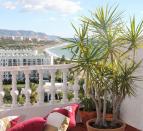 terrace-plant-view-sea