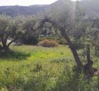 IMG-20260305-WA0038