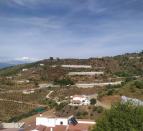 IMG-20260519-WA0022